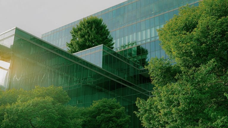 2024 in Review: A Transformative Year for Chemical Regulatory Compliance and Sustainability